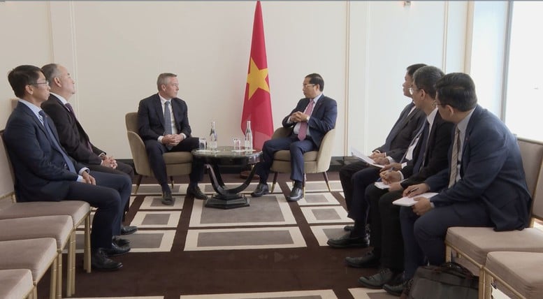 Phó Thủ tướng Bùi Thanh Sơn tiếp Giám đốc điều hành Tập đoàn Perenco- Ảnh 2.