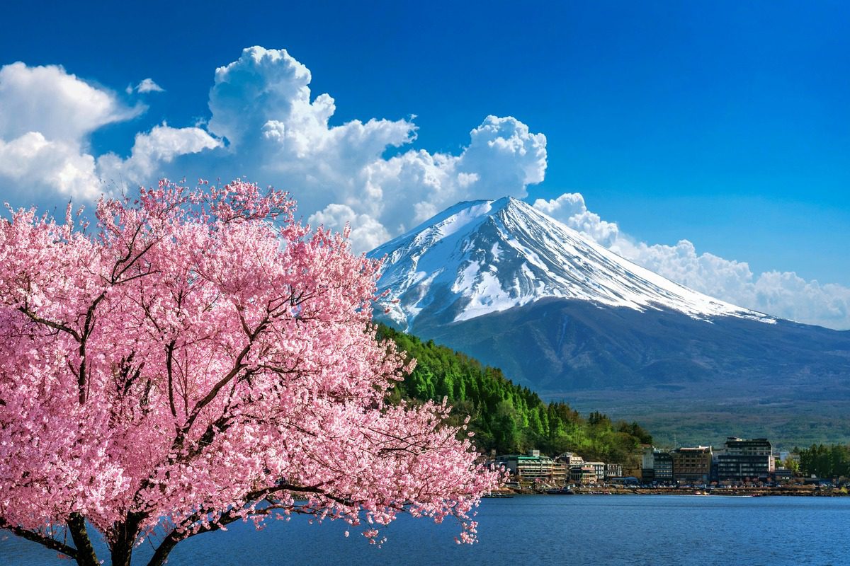 បទពិសោធន៍ទេសចរណ៍ Fukushima ក្នុងខែមីនា និងមេសា ដើម្បីរីករាយជាមួយនិទាឃរដូវទាំងមូល