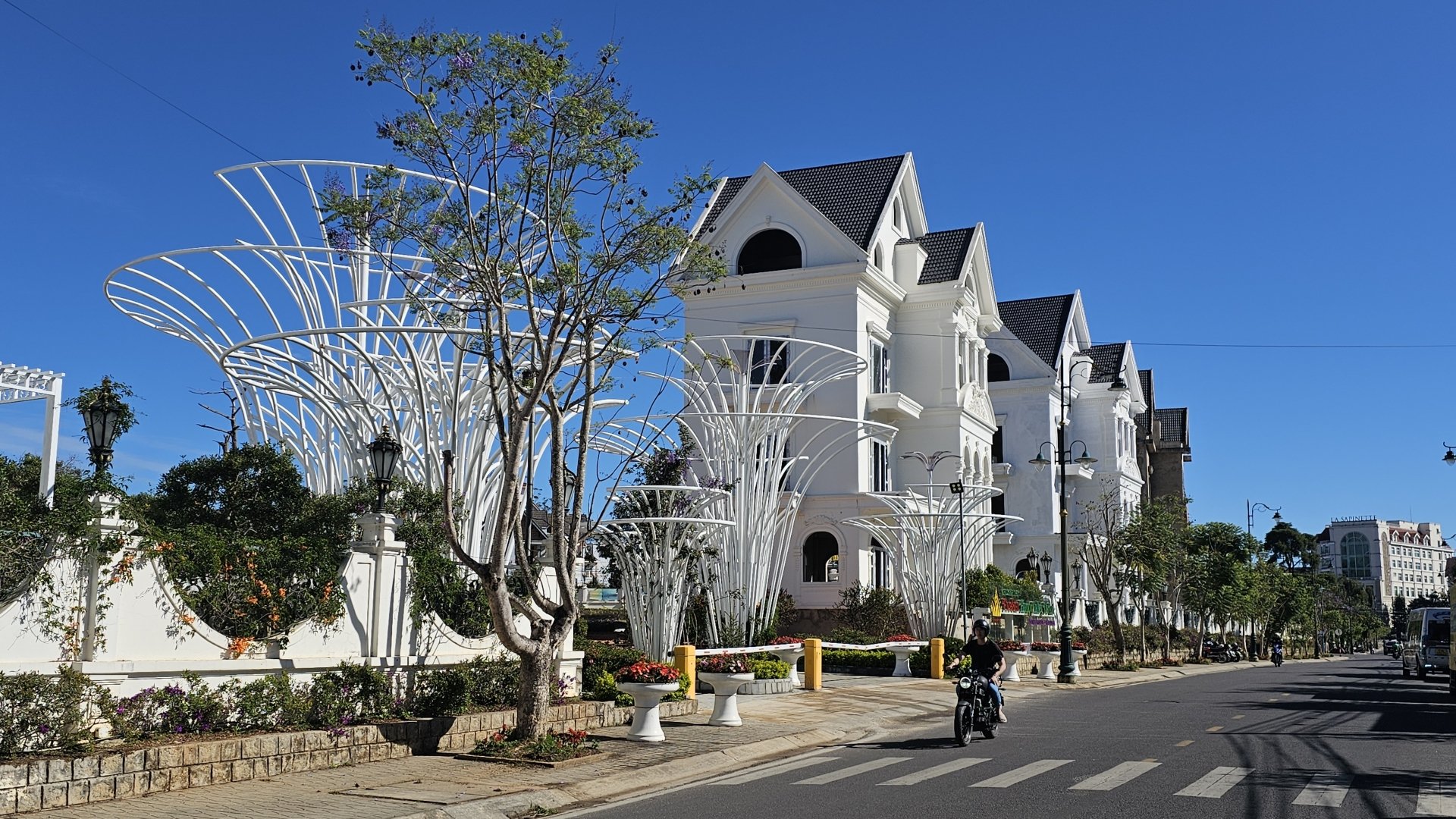 Dự án 