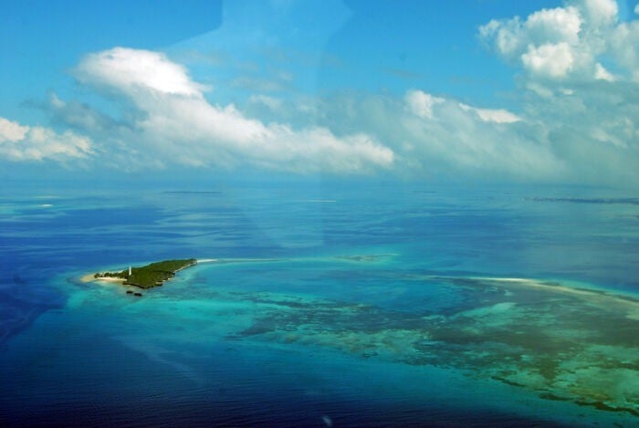 Đường bờ biển Zanzibar nổi tiếng với những bãi biển tuyệt đẹp và hệ sinh vật biển phong phú. Bờ biển phía đông tự hào có những bãi biển nguyên sơ với cát trắng san hô và làn nước êm đềm, vỗ bờ. ẢNH: BOREDPANDA