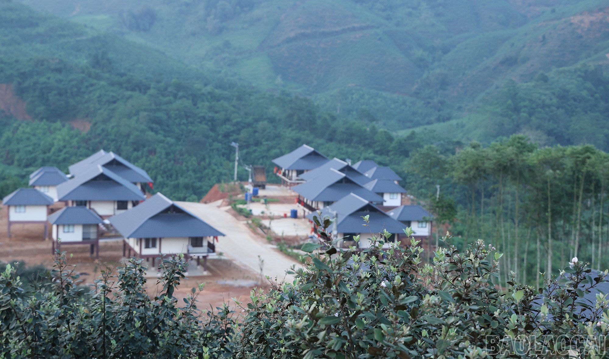 baolaocai-br_img-1596.jpg