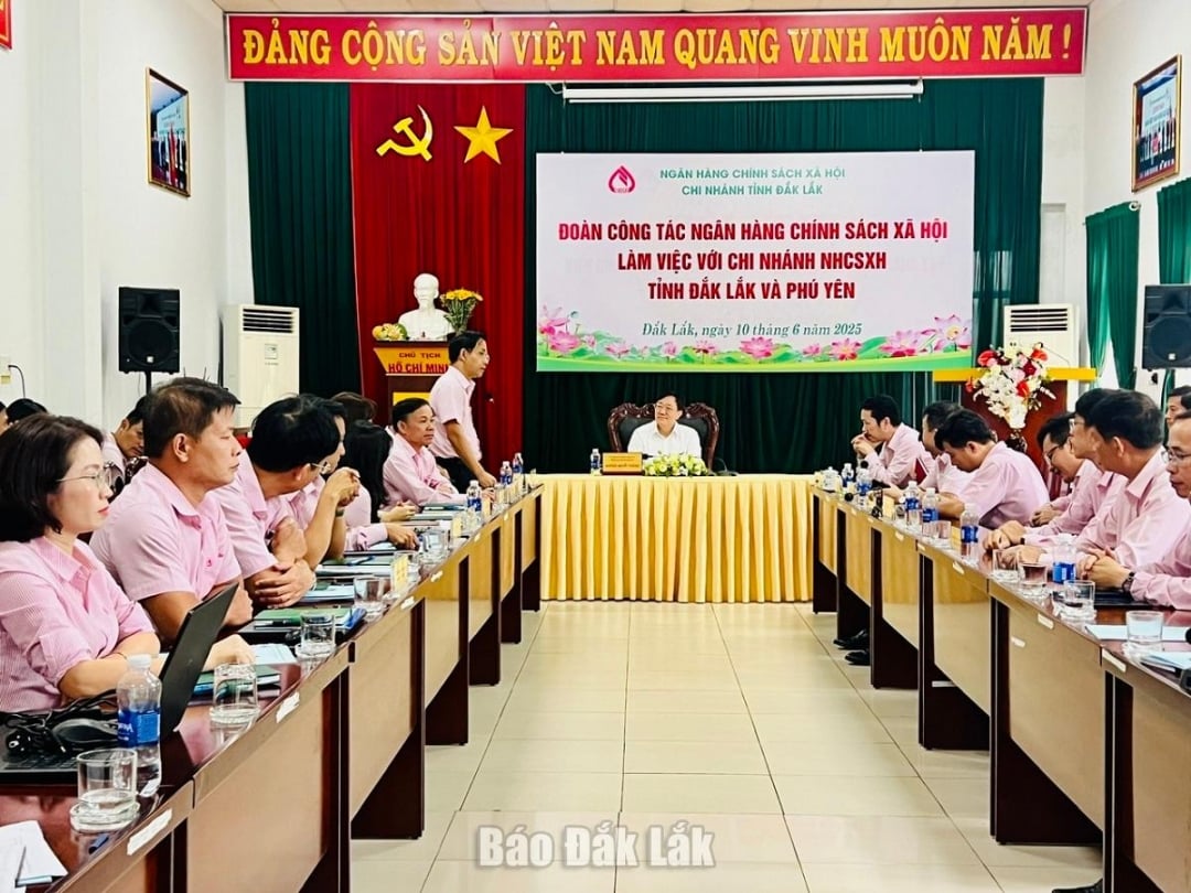 Der Generaldirektor der Vietnam Bank for Social Policies arbeitet mit den Filialen in Dak Lak und Phu Yen zusammen