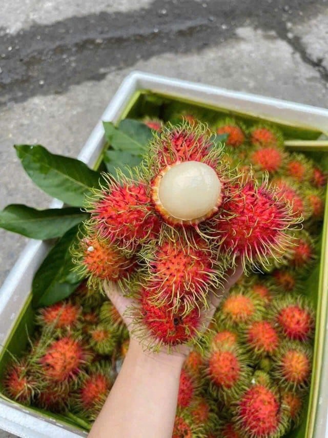 Quả chôm chôm chính vụ giá siêu rẻ chỉ từ 30k/kg, bất ngờ với 3 món ngon chế biến hấp dẫn ngày hè- Ảnh 3.