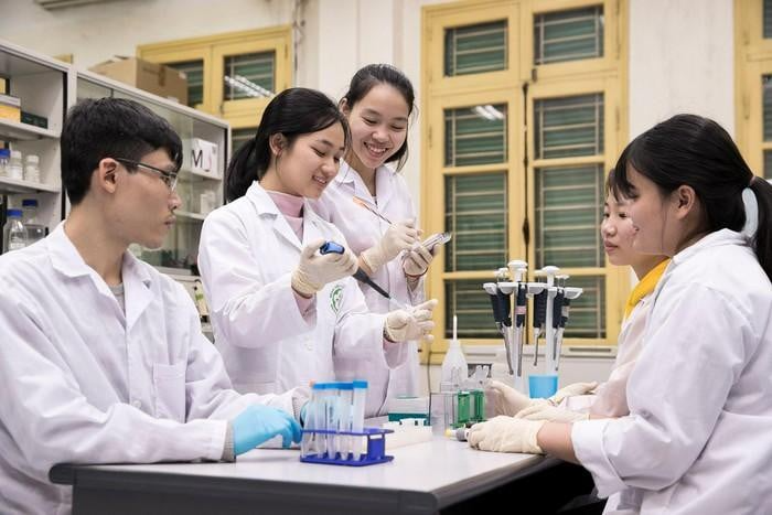 Nhiều trường Y dược xét tuyển tổ hợp có môn tiếng Anh. (Ảnh minh hoạ)