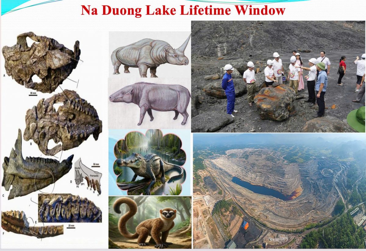 Phát huy các giá trị di sản địa chất - bệ phóng cho du lịch Xứ Lạng - Ảnh 2.