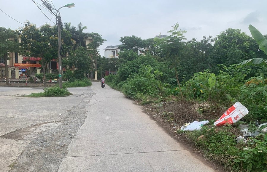 duong.jpg