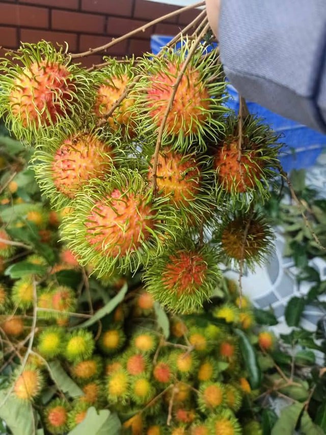Quả chôm chôm chính vụ giá siêu rẻ chỉ từ 30k/kg, bất ngờ với 3 món ngon chế biến hấp dẫn ngày hè- Ảnh 4.
