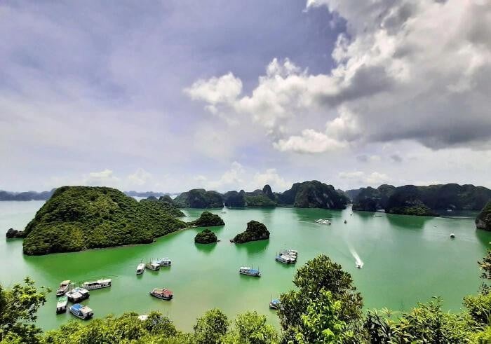 Vịnh Hạ Long, Di sản thiên nhiên thế giới của UNESCO, đặc biệt nổi bật với những vách núi đá vôi cao chót vót giữa mặt nước và những bãi cát trắng nguyên sơ, làn nước trong xanh màu ngọc lam thu hút du khách. ẢNH: BOREDPANDA