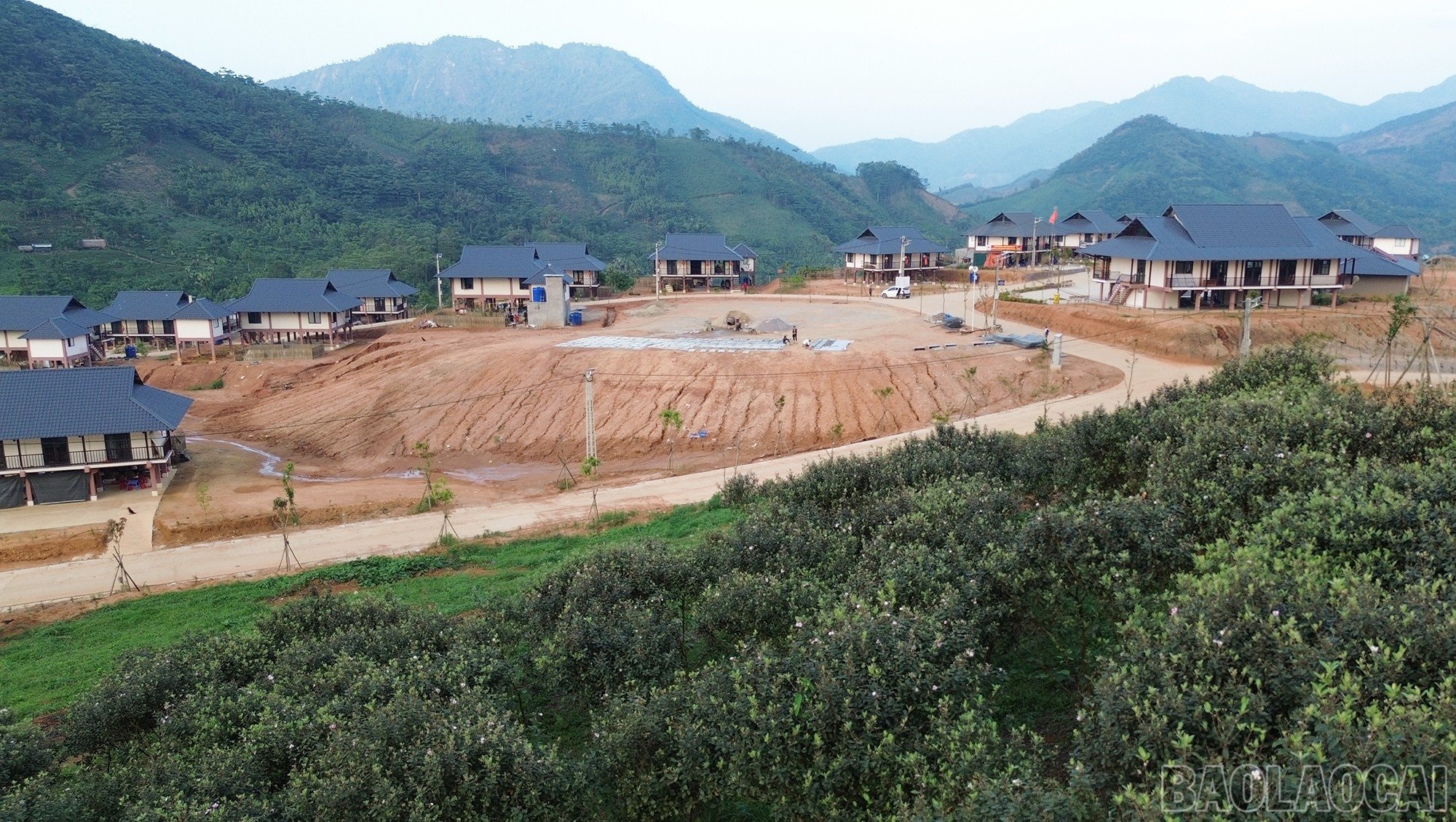 baolaocai-br_dji-0923.jpg