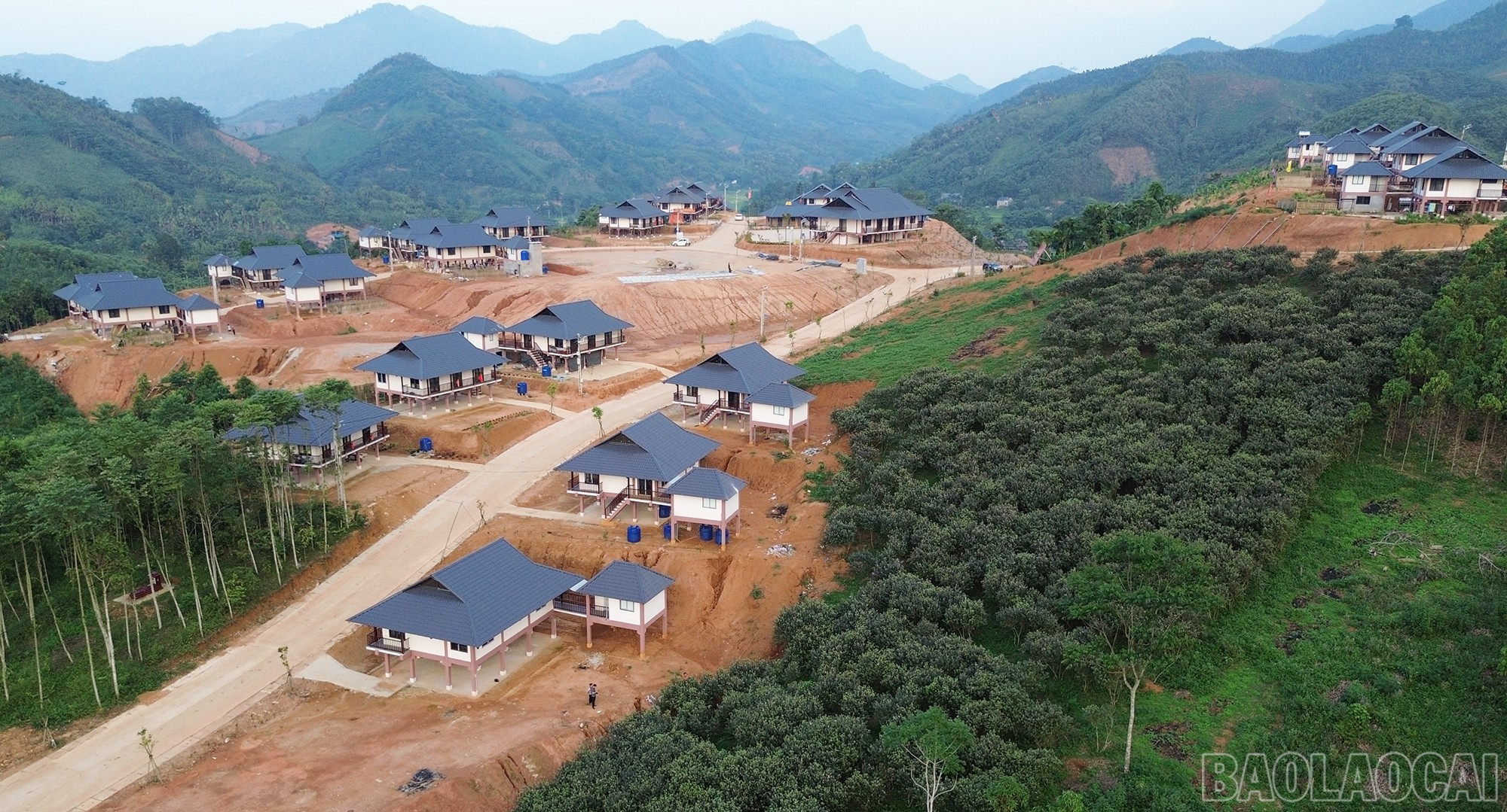 baolaocai-br_dji-0928.jpg