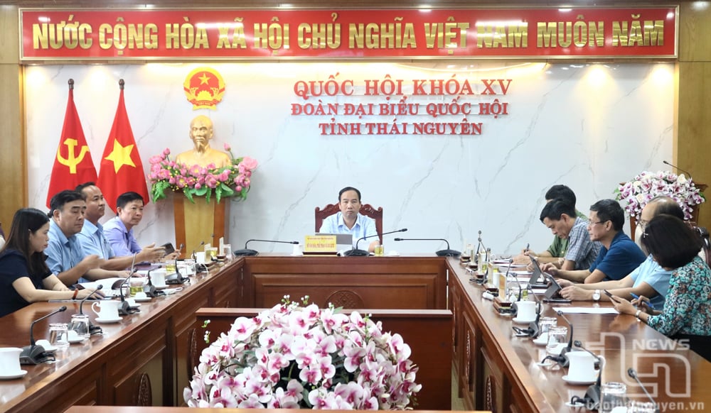 Delegates attending the Conference at the Thai Nguyen province bridge.