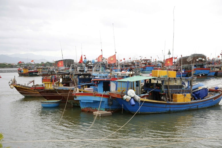 Kêu gọi tàu thuyền trong vùng nguy hiểm tìm nơi tránh trú an toàn- Ảnh 2.