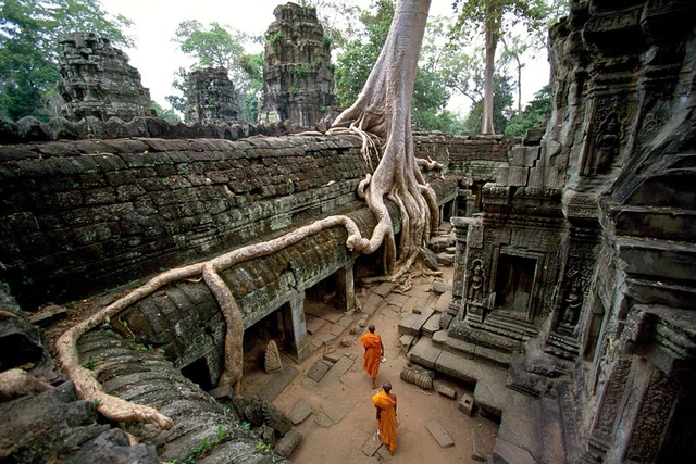 den-ta-prohm.webp