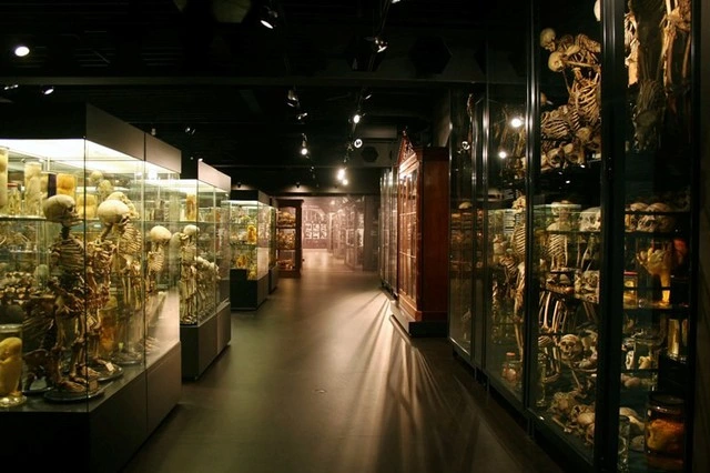 vrolik-museum.webp