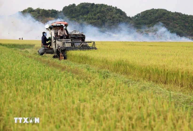 វៀតណាម​ជា​ប្រទេស​មួយ​ក្នុង​ចំណោម​ប្រទេស​ដែល​មាន​កម្រិត​ស្វ័យ​គ្រប់​គ្រាន់​ស្បៀង​អាហារ​ខ្ពស់។