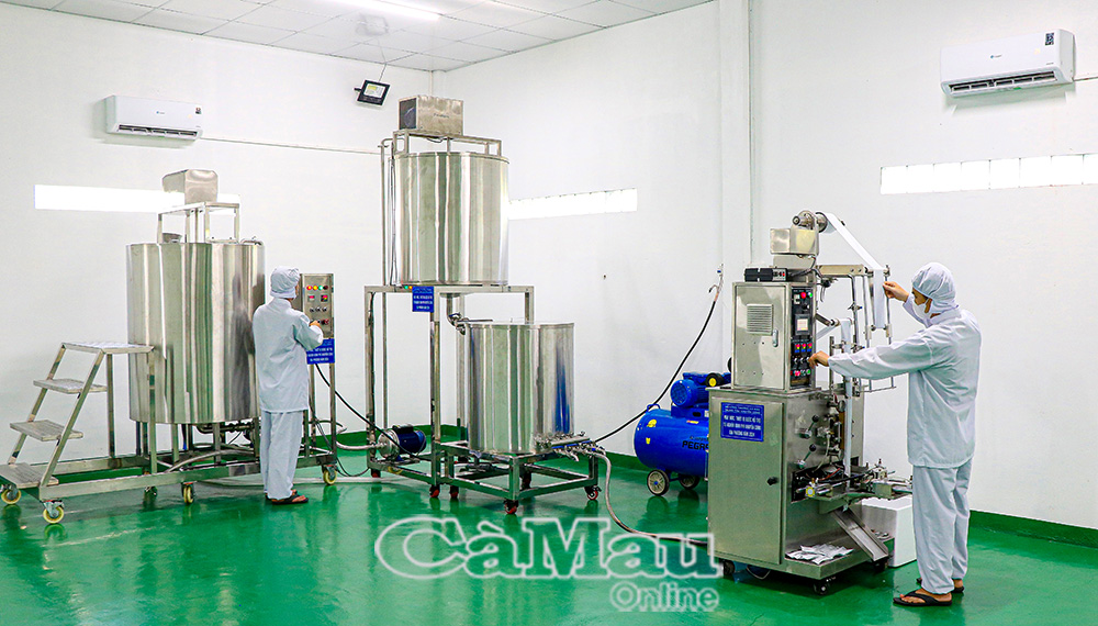 Ðầu tư xây dựng nhà xưởng, hệ thống máy móc thiết bị sản xuất khép kín, tự động, anh Chương cho ra sản phẩm mới “Nước cốt nhàu SK Noni đóng gói” phục vụ người tiêu dùng.