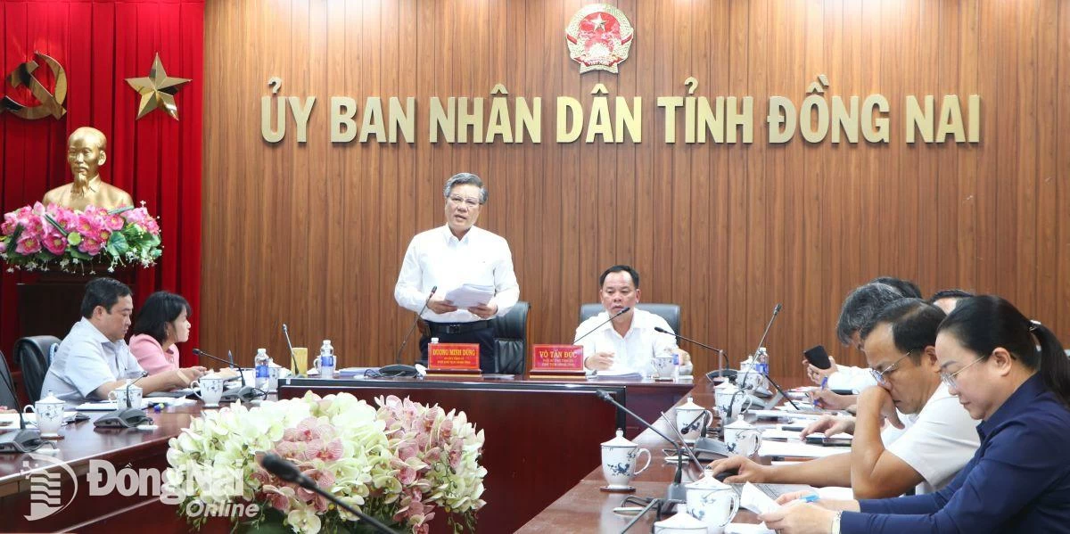 Phó chủ tịch UBND tỉnh Dương Minh Dũng phát biểu tại buổi làm việc.Ảnh: Ngọc Liên