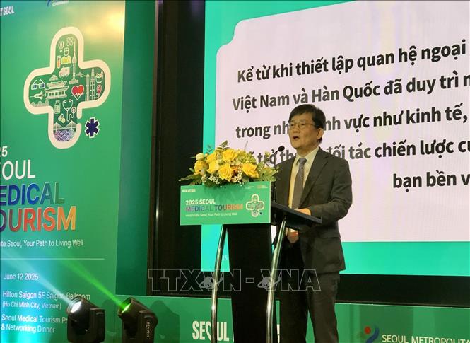 Kết nối doanh nghiệp du lịch y tế Thành phố Hồ Chí Minh và Seoul, Hàn Quốc - Ảnh 1.