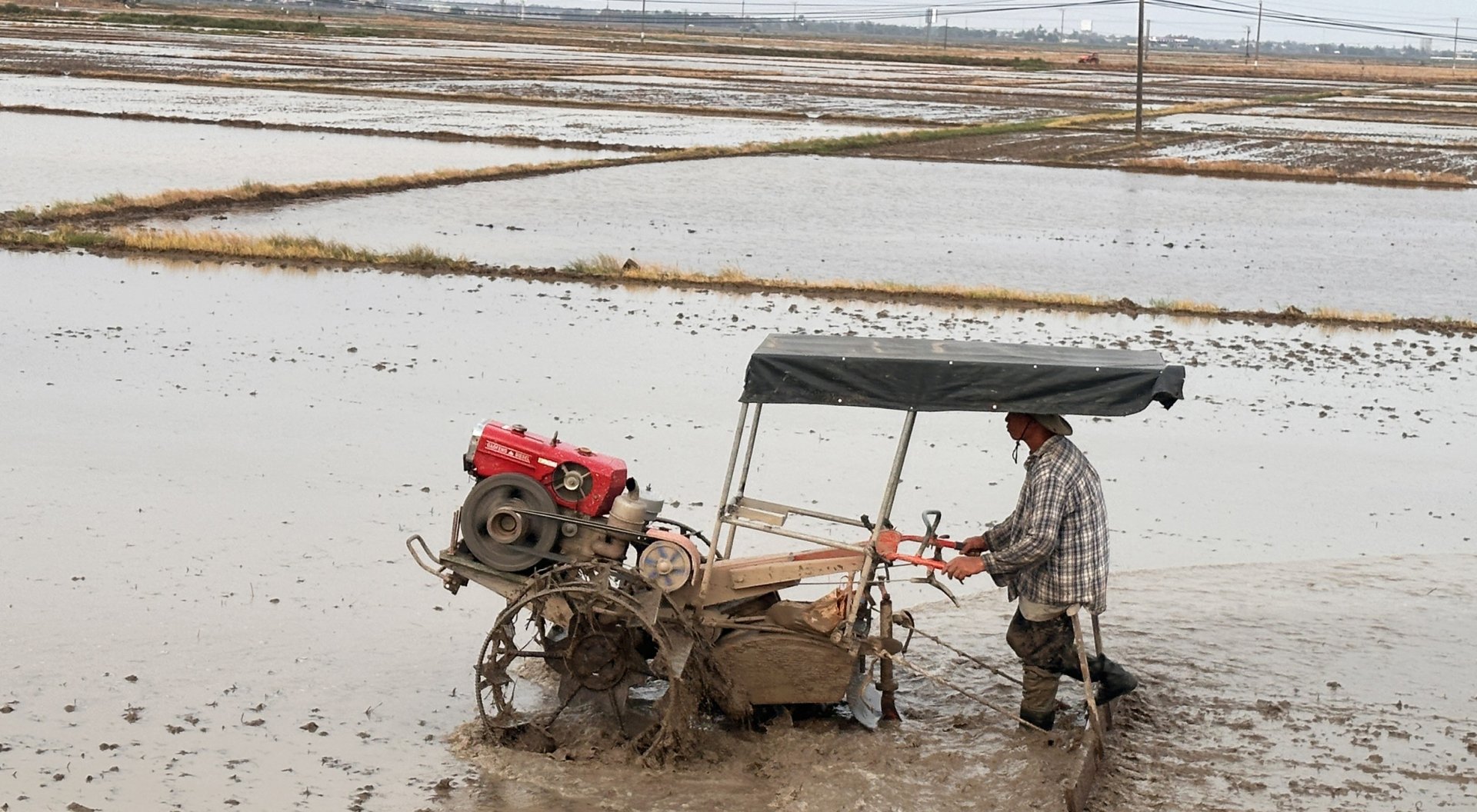 Les agriculteurs de la commune de Hoa Thanh (ville de Dong Hoa) préparent la terre et la hersent pour semer le riz d'été-automne. Photo : NGOC HAN