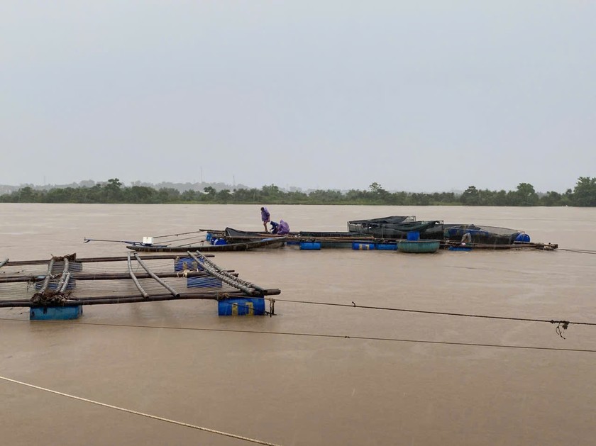 Lồng, bè cá của người dân huyện Quảng Ninh bị ảnh hưởng do mưa trái mùa.