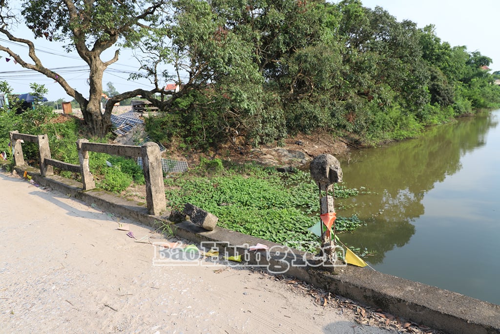 Nhiều trụ cầu đã bị gãy, lan can không còn