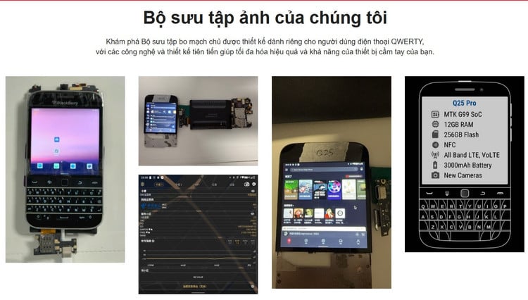bb.jpg