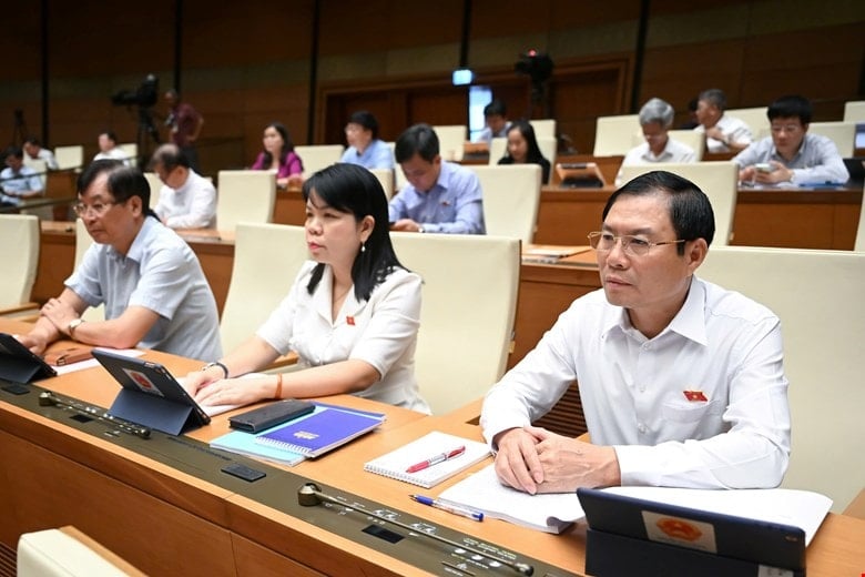 dai-bieu-1.jpg