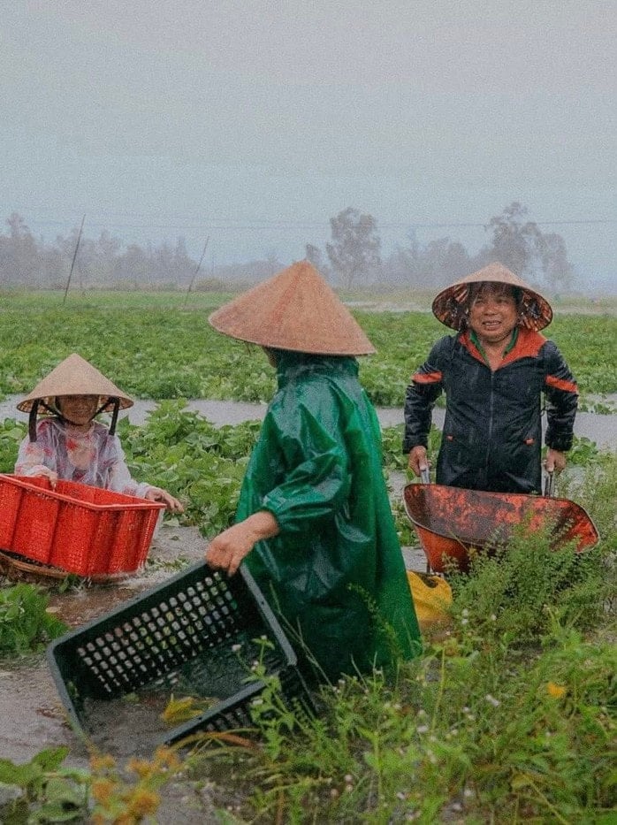 Storm No. 1 caused record rain in Quang Nam, 16,700 hectares of rice and crops were heavily flooded - Photo 3.