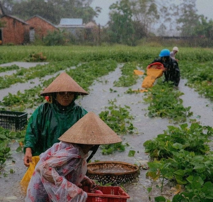 Storm No. 1 caused record rain in Quang Nam, 16,700 hectares of rice and crops were heavily flooded - Photo 1.