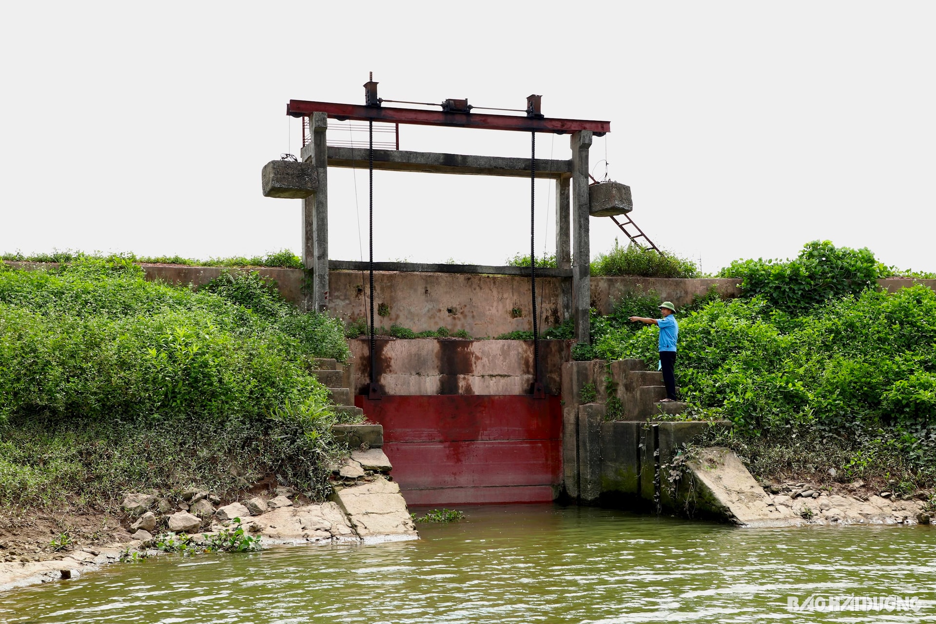 Cống