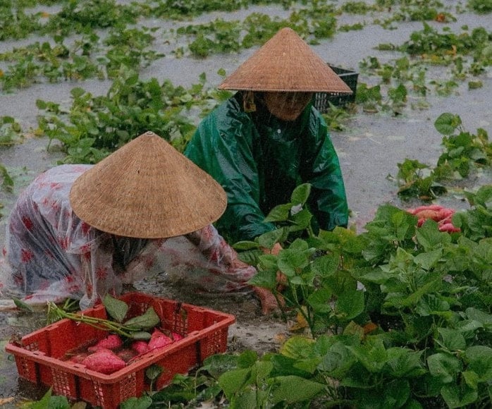Storm No. 1 caused record rain in Quang Nam, 16,700 hectares of rice and crops were heavily flooded - Photo 2.