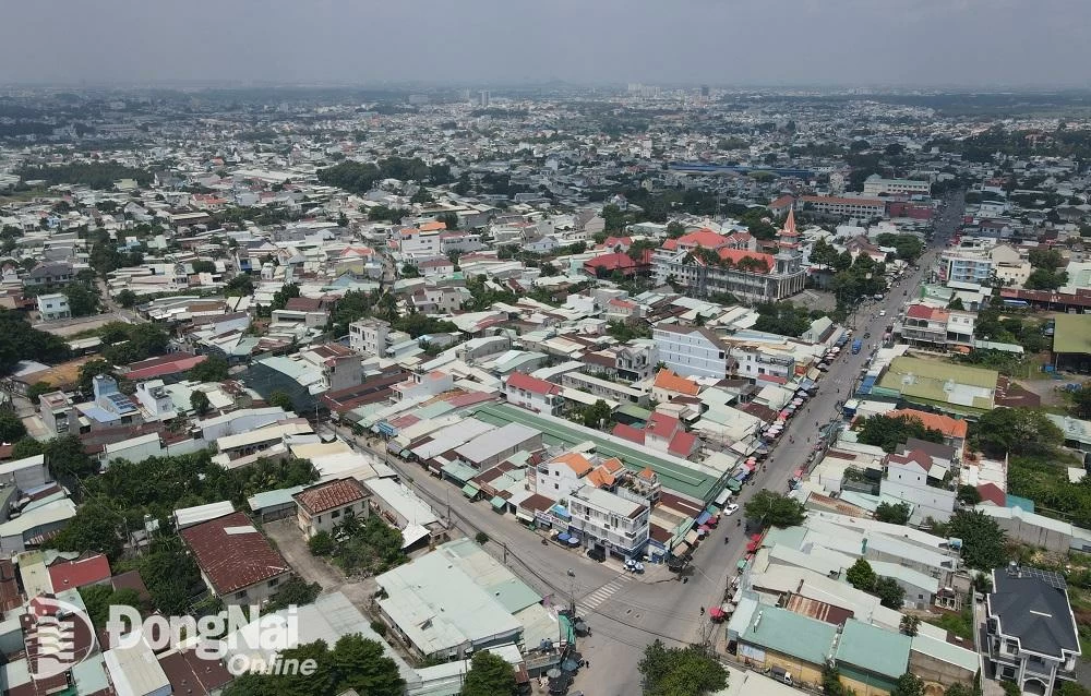 Agilizar la medición y corrección de mapas catastrales; registrar y emitir libros rojos para hogares e individuos en el barrio de Trang Dai, ciudad de Bien Hoa. Foto: documento