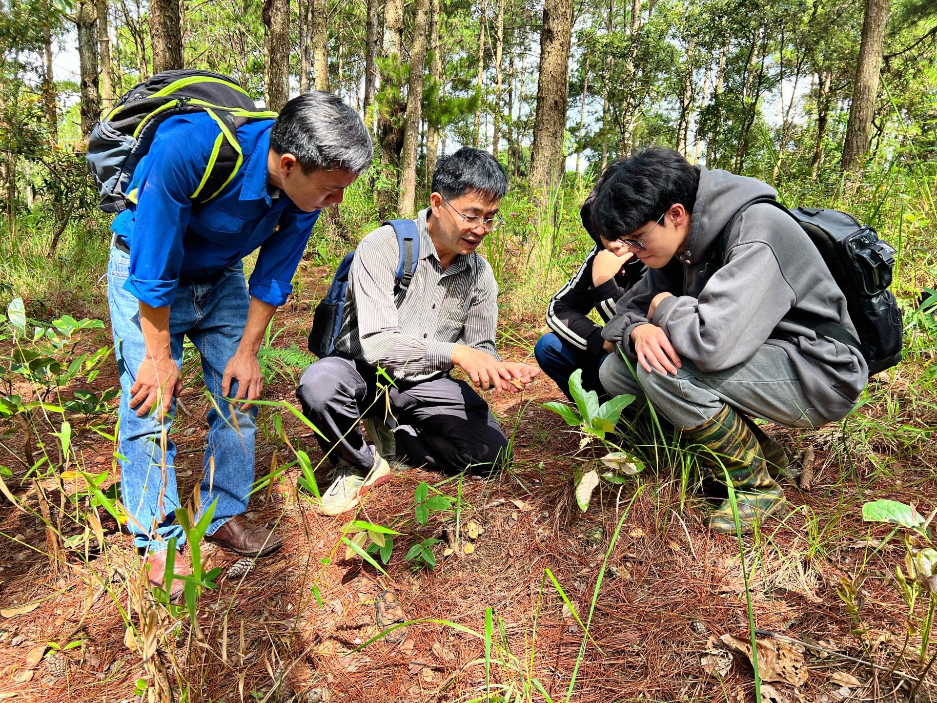 Dr. Truong Binh Nguyen guides students of the Biology Faculty of Dalat University to distinguish the characteristics of poisonous and non-poisonous pine forest mushrooms in Dalat.