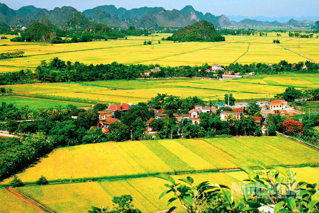 ទេសភាពជនបទថ្មីនៃវួដ Ninh Giang (ទីក្រុង Hoa Lu)។ រូបថត៖ Tuan Anh