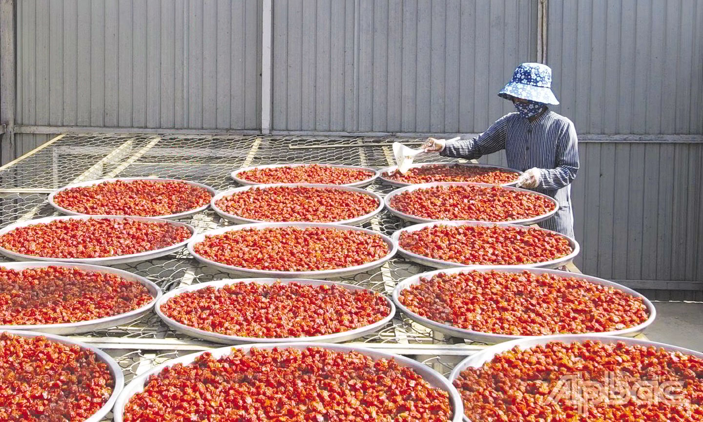 Sơ chế sơ ri để làm mứt tại HTX Bình Ân, huyện Gò Công Đông.
