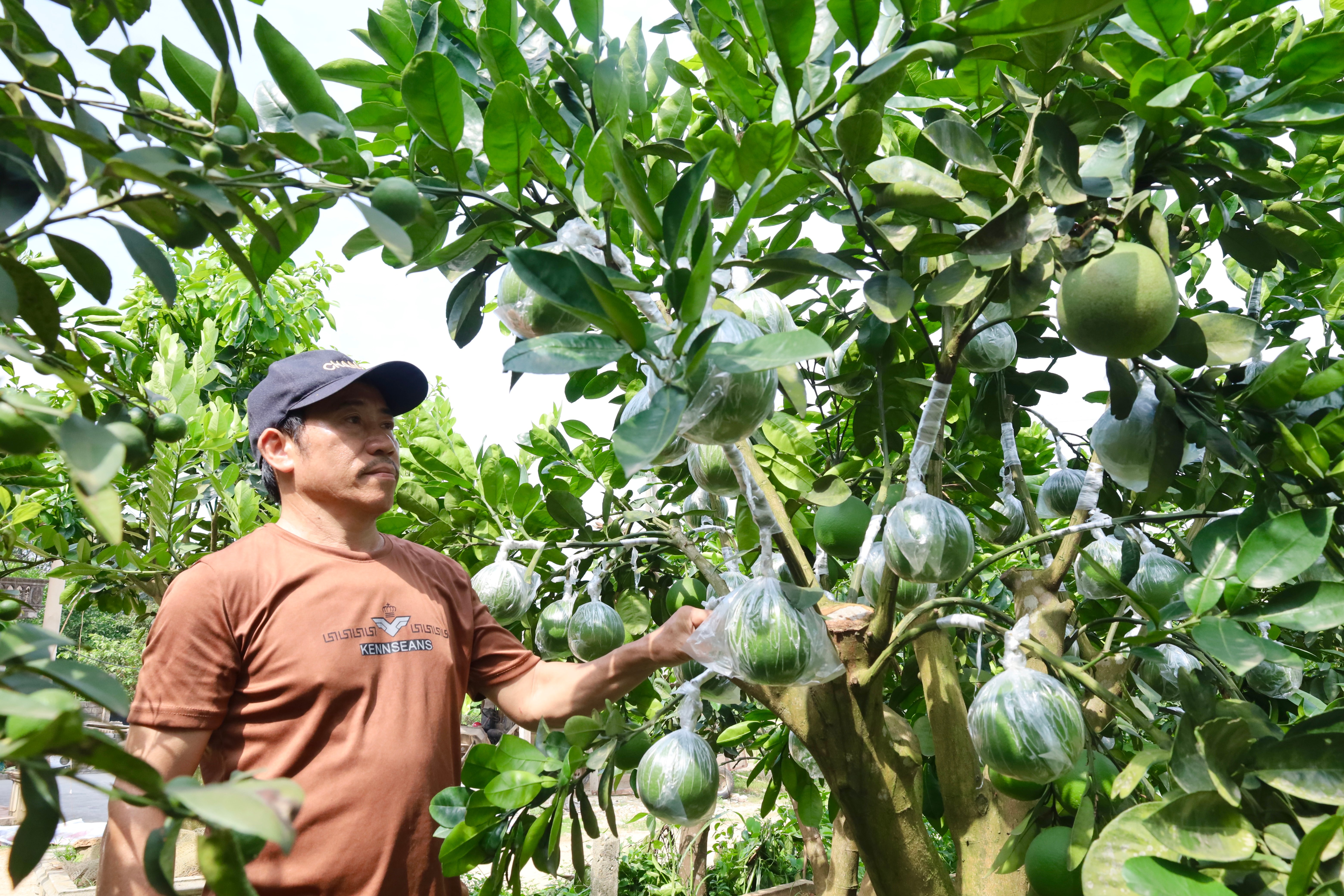 Đưa đặc sản địa phương thành sản phẩm OCOP