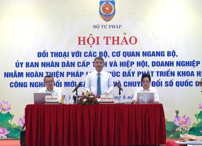 Deputy Minister of Justice Nguyen Thanh Tu speaks at the workshop