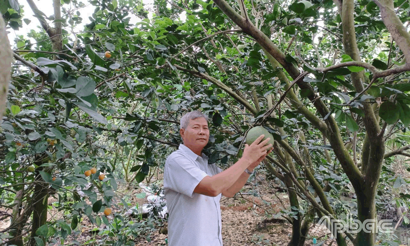 Chương trình xây dựng NTM giúp kinh tế  nông thôn có điều kiện phát triển. Ảnh:  CAO THẮNG
