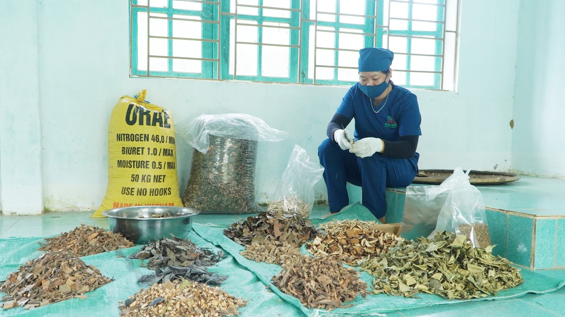 Xã Trà Giáp có nhiều loại thảo dược dùng để bổ sung vào các bài thuốc đông dược, nam dược. Ảnh: PHAN VINH