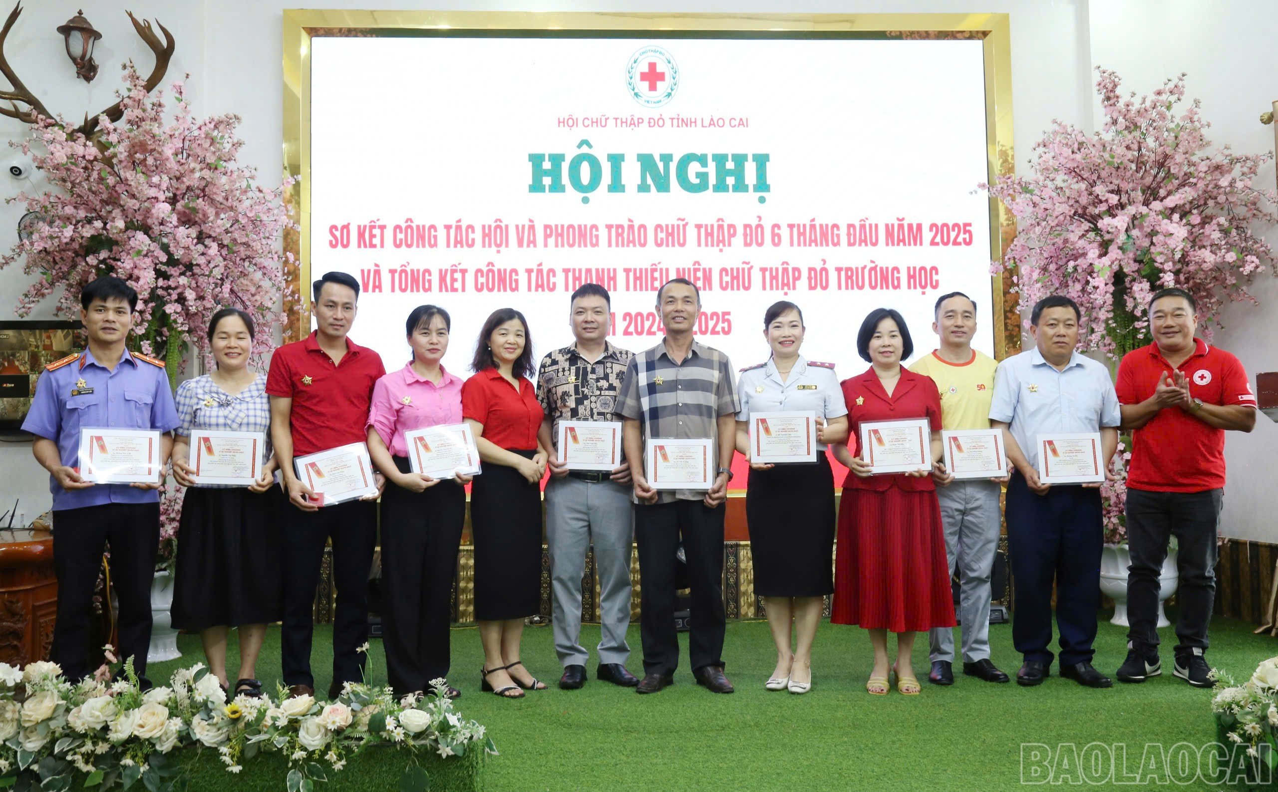 baolaocai-br_z6700994086311-205a74acd578619390f470a212ac80eb.jpg