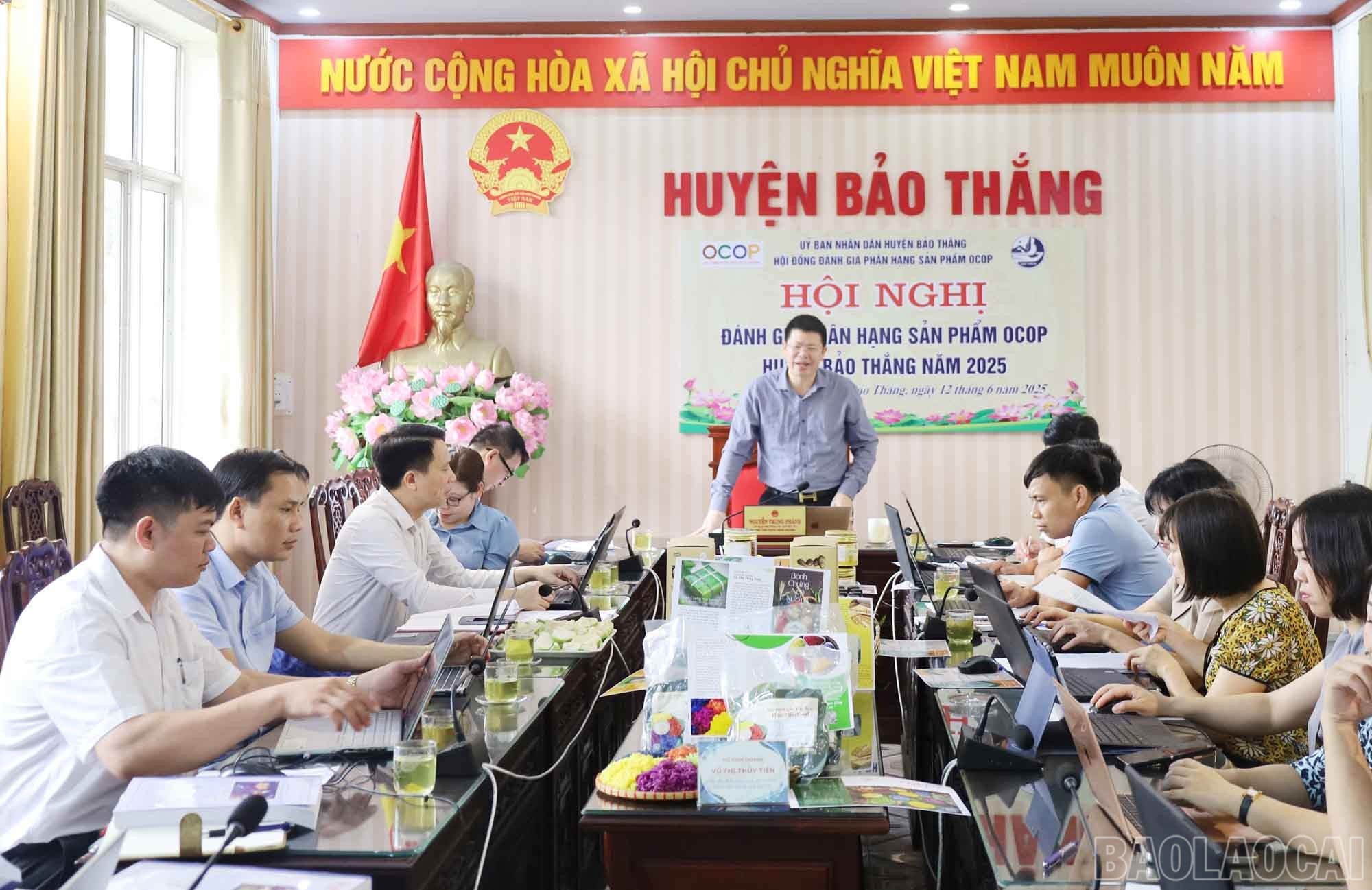 baolaocai-br_1.jpg