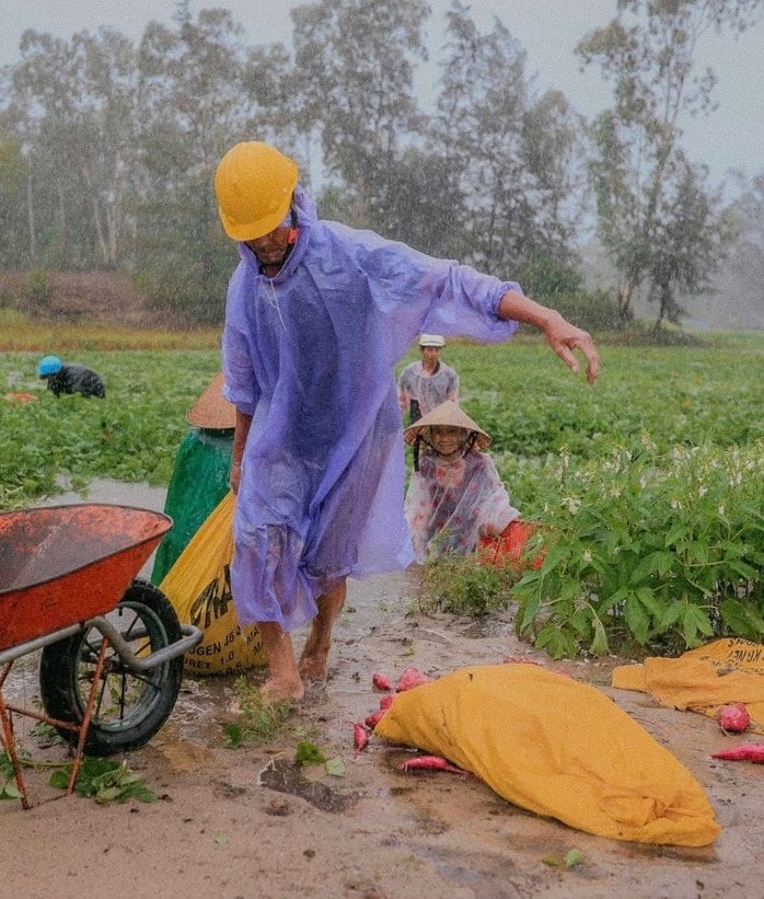Storm No. 1 caused record rain in Quang Nam, 16,700 hectares of rice and crops were heavily flooded - Photo 4.