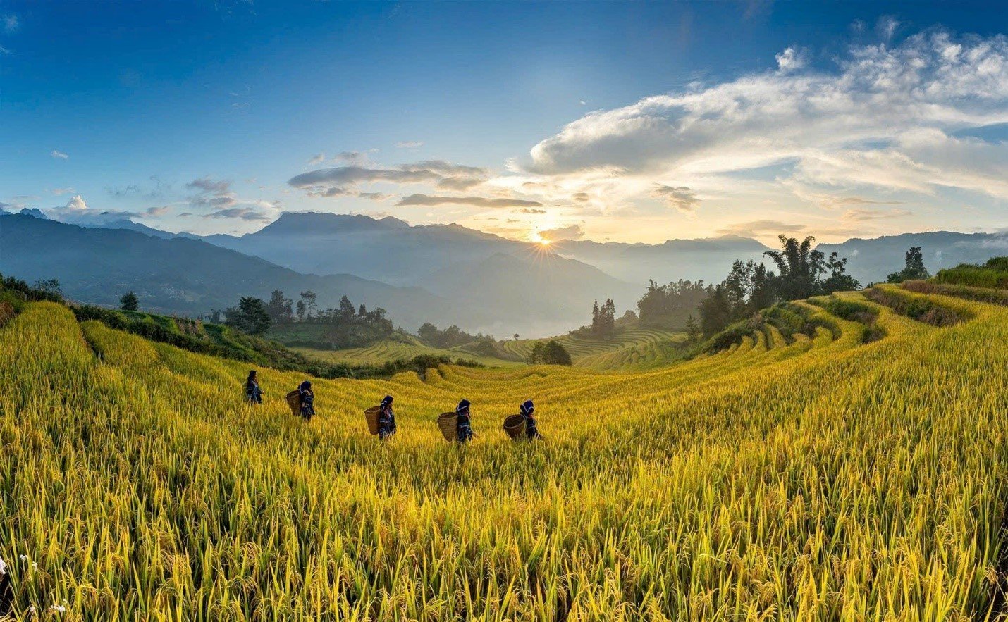 Lào Cai quyết tâm đưa Sa Pa, Y Tý và Bắc Hà trở thành những điểm đến hàng đầu vùng Tây Bắc