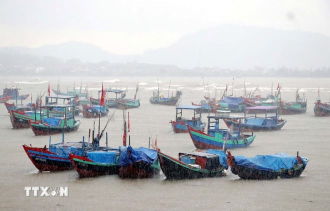 Boats take shelter from the storm in Cam Nhuong commune, Cam Xuyen district. (Photo: Cong Tuong/VNA)