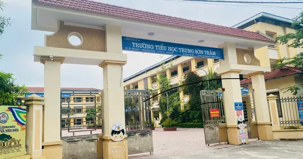 Vụ giáo viên đánh bảo vệ, quấy rối nữ đồng nghiệp: Giám đốc Sở Giáo dục Hà Nội lên tiếng