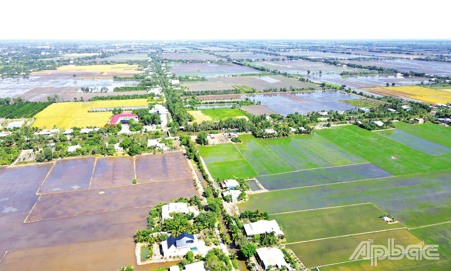 Nhiều địa phương vốn thuộc diện khó khăn về hạ tầng như huyện Tân Phước trước đây đã “khoác áo mới” qua xây dựng NTM.