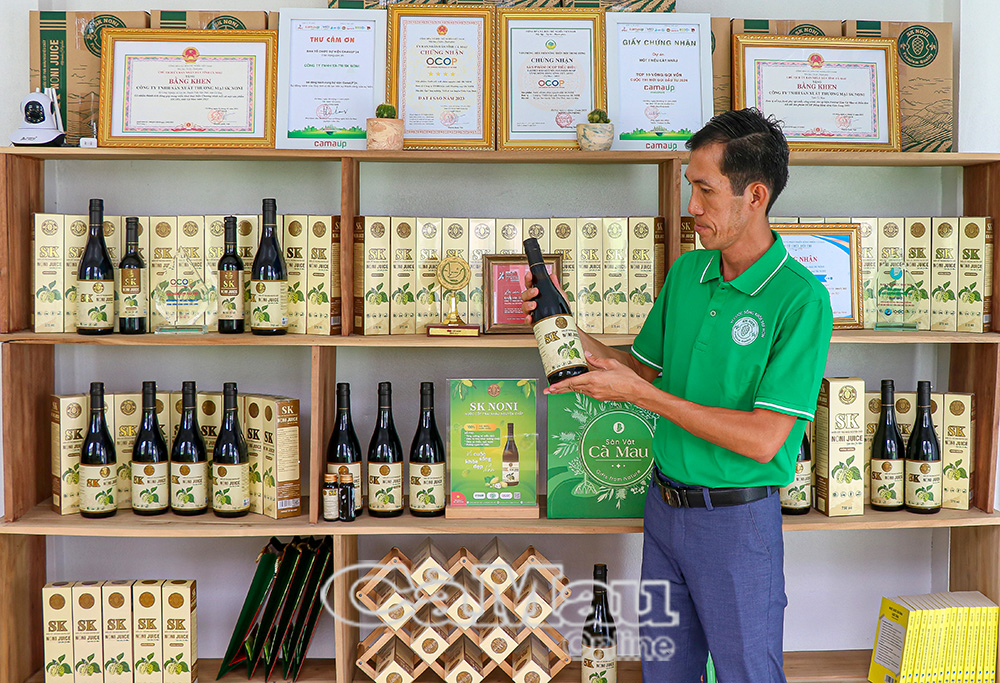 Sản phẩm nước cốt nhàu SK Noni không chỉ phục vụ trong nước mà anh Chương còn nỗ lực đạt các tiêu chí để mở rộng thị trường xuất khẩu, phấn đấu đạt chứng nhận OCOP 5 sao.