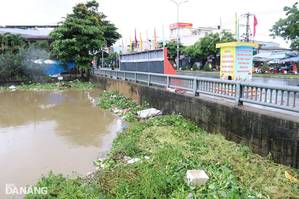 Thượng lưu cầu Đa Cô bị mắc nhiều bèo, rác, có khả năng cản trở thoát nước ở hạ lưu. Ảnh: HOÀNG HIỆP