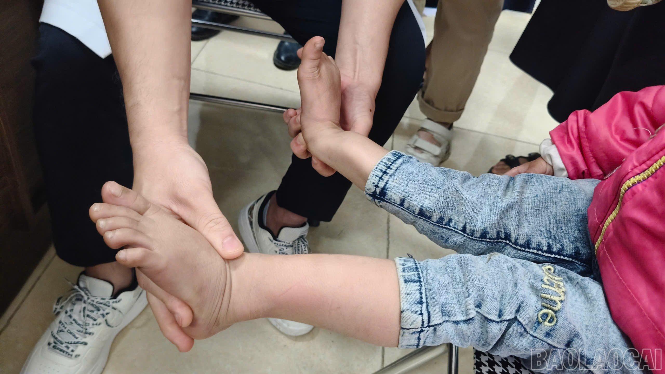 baolaocai-br_z6699868889697-d2fb2e427c8d45aa168d0bed23ef87bd.jpg