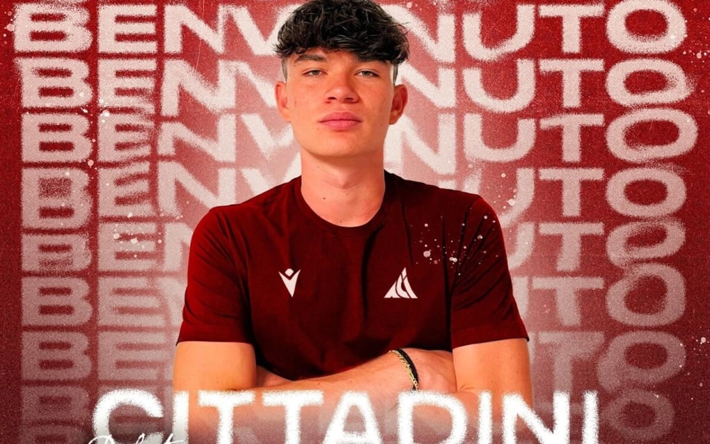 Những ngôi sao Việt kiều nổi danh có thể bổ sung cho tuyển Việt Nam - 4